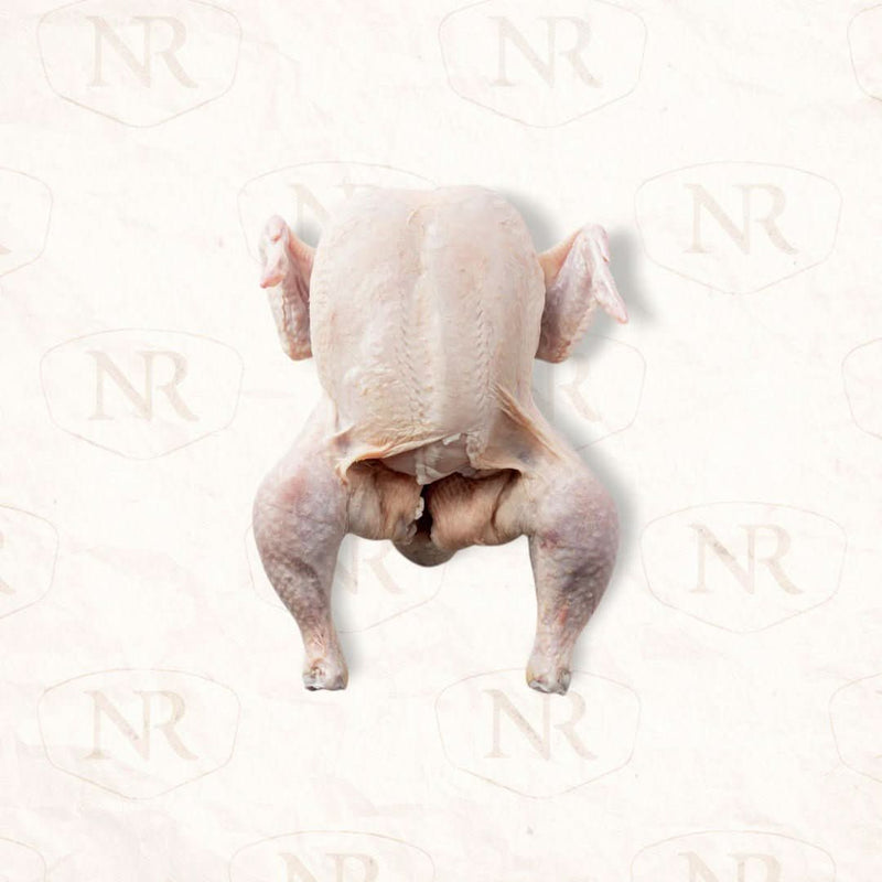 10 - Pack Organic Whole Chicken Bundle - Northern Raised