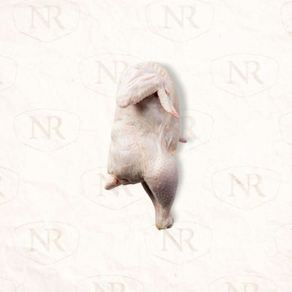10 - Pack Organic Whole Chicken Bundle - Northern Raised