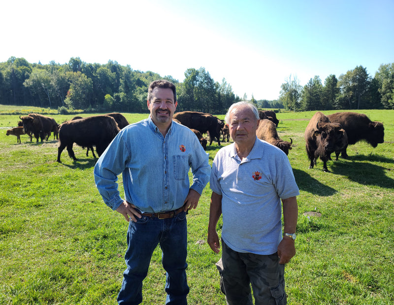 Northfork Bison