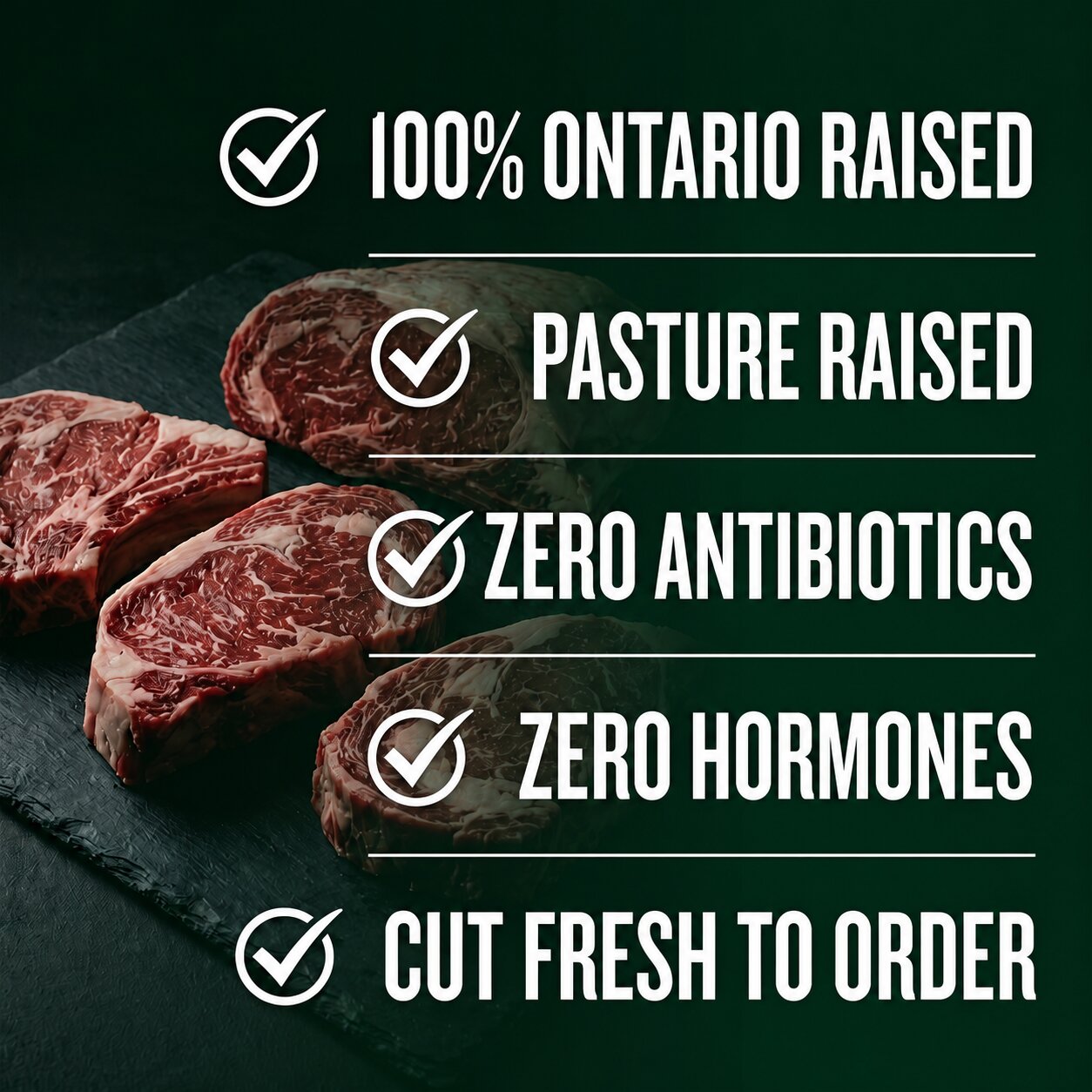 Best-of-Both Worlds Bundle – Northern Raised