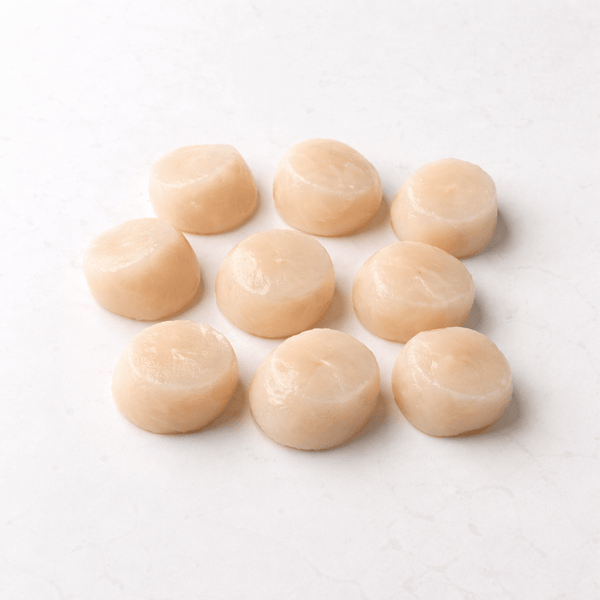 Hokkaido Scallops - Northern Raised