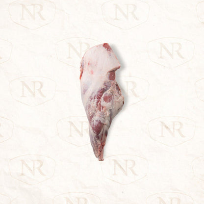 Lamb Leg Bone - In - Northern Raised